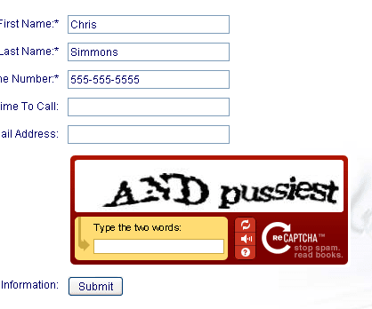 pussiest CAPTCHA